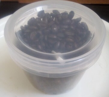 コーヒー豆をスクリュー式の保存容器に入れた写真